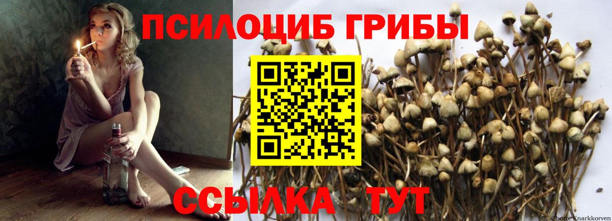 Галлюциногенные грибы GOLDEN TEACHER Оренбург